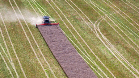 Wer Raps sät, wird Raps ernten: Außer der Boden ist hin Wer Raps sät, wird Raps ernten: Außer der Boden ist hin