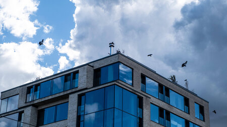 Prenzlauer Berg: Neubau für Wohlhabende, aber in Berlin fehlt da... Prenzlauer Berg: Neubau für Wohlhabende, aber in Berlin fehlt da...
