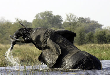 Der Okawango endet in der Wüste: »Erlebnis Erde« Der Okawango endet in der Wüste: »Erlebnis Erde«