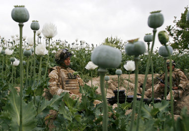 Mit Merkels Finanzhilfe und NATO-Soldaten rund um Kabul: Ausreic...