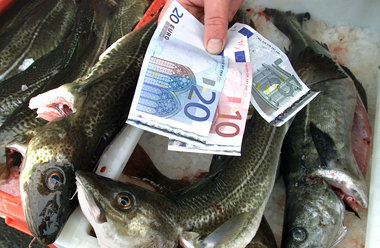 Geld stinkt nicht – wenn man’s hat