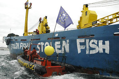 »Gestohlener Fisch« – spanisches Kühlschiff nach Greenpeace-Prot... »Gestohlener Fisch« – spanisches Kühlschiff nach Greenpeace-Prot...
