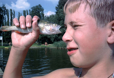 »Auge in Auge« nannte Uwe Wolski sein Bild, mit dem er sich im J...