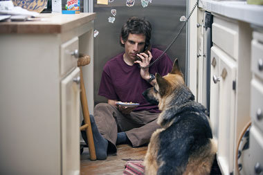 Der Hund heißt »Mahler« und hat schlechte Blutwerte