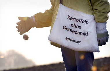 Greenpeace-Aktivisten am 14. April auf einem f&uuml;r den
&raquo...