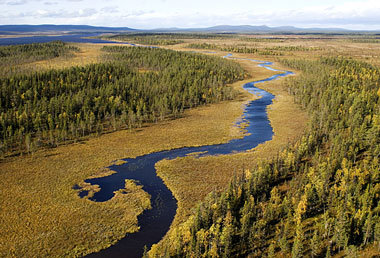 Unberührte Natur pur in Lappland – »Europas
Urw... Unberührte Natur pur in Lappland – »Europas
Urw...
