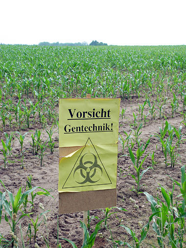 Trotz breiter Ablehnung bei Verbrauchern und vielen Landwirten
s... Trotz breiter Ablehnung bei Verbrauchern und vielen Landwirten
s...