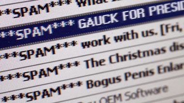 Gauck-Spams f&uuml;llten am Montag die elektronischen
Papierk&ou...
