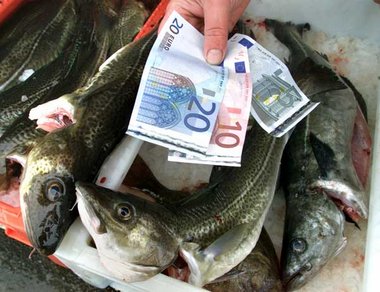 Fischstand im polnischen Gdansk. Schon heute ist der Euro in wei...