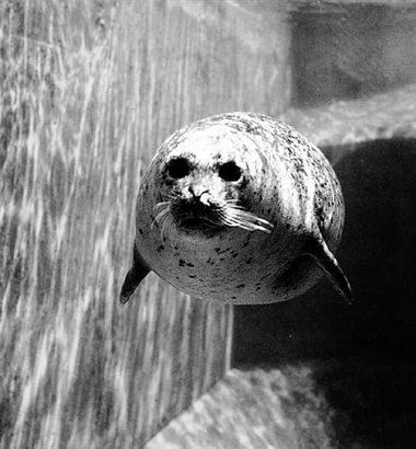 Die Konkurrenz schläft nicht