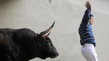 Spaniens Bevölkerung hat den
»Börsenbullen«... Spaniens Bevölkerung hat den
»Börsenbullen«...
