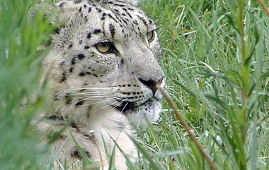 Am zweitgr&ouml;&szlig;ten Gebirgssee der Welt: &raquo;Die
Schne...