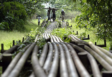 Rohstoffreichtum als Fluch (&amp;Ouml;lpipeline des
&amp;shy;She...