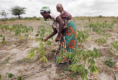Zusch&uuml;sse f&uuml;r Gro&szlig;farmer? Kenias
Subsistenzbauer...