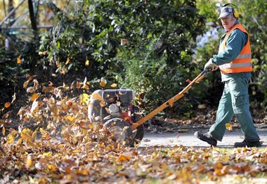 Billigjobber werden häufig im Gartenbau eingesetzt. Von
zus... Billigjobber werden häufig im Gartenbau eingesetzt. Von
zus...