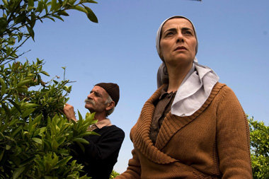 Die Witwe Salma k&auml;mpft um ihren Zitronenhain: Lemon
Tree
