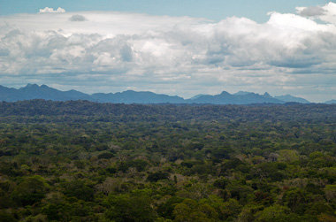 Der bedrohte bolivianische Madidi-Nationalpark