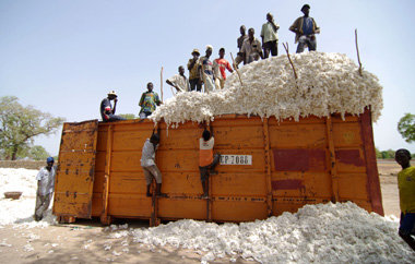 Burkina Faso ist nach &Auml;gypten der gr&ouml;&szlig;te
Baumwol...