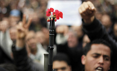 Tunesiens Armee h&amp;auml;lt still &amp;ndash; Demonstration vo...