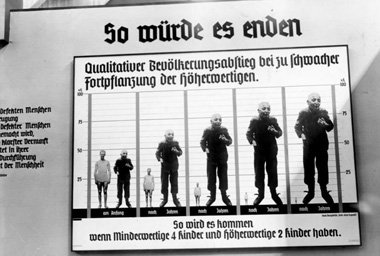 Schaubild einer Naziausstellung &uuml;ber
&raquo;Bev&ouml;lkerun...