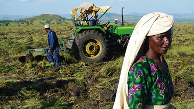 Landkauf in Afrika ist eine rentable Kapitalanlage: »Dritt... Landkauf in Afrika ist eine rentable Kapitalanlage: »Dritt...
