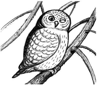 Illustration