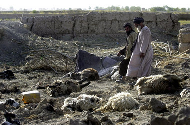 Über 60 Menschen in der afghanischen Provinz Pandschwaji starben...