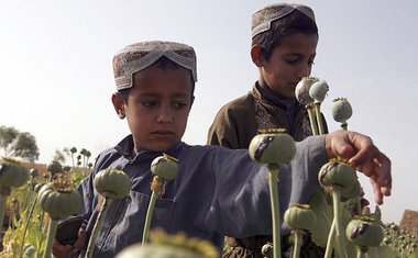 Blühende Landschaften: Dank NATO-Präsenz ist Afghanist... Blühende Landschaften: Dank NATO-Präsenz ist Afghanist...