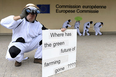 Aktivist der Umweltschutzorganisation &raquo;Friends of the Eart...