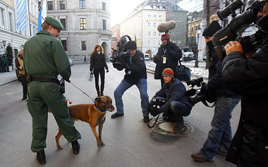 Hohe Tiere sollen sich dieser Tage in M&uuml;nchen sicher f&uuml...