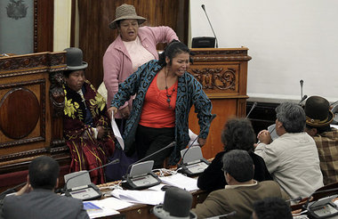 Hitzige Parlamentsdebatte über TIPNIS am Donnerstag in La Paz