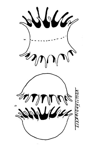 »Ist dahinter etwas wie Flieder?« (Töpfer illus... »Ist dahinter etwas wie Flieder?« (Töpfer illus...
