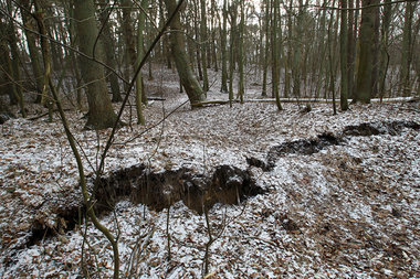 Plötzlich öffnete sich die Erde auf Hiddensees Hochland. Seit Ja...