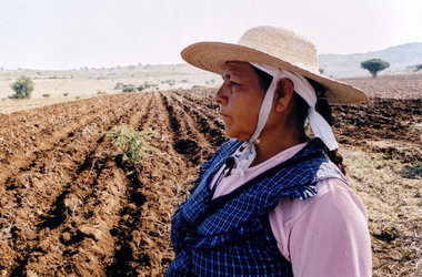 Sorgen und Furchen: abgeerntetes Maisfeld in Guanajuato/Mexiko Sorgen und Furchen: abgeerntetes Maisfeld in Guanajuato/Mexiko