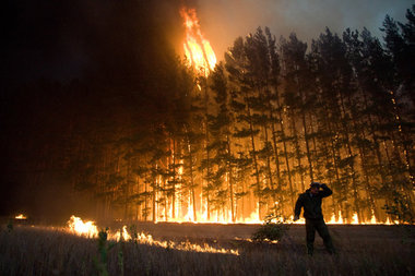 Statistisch bestätigt: Die Erderwärmung macht Waldbrände wie die...