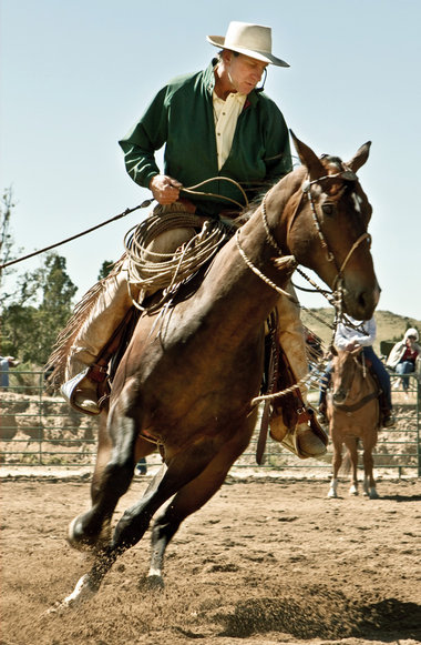 Der L&ouml;sungsansatz hei&szlig;t Natural Horsemanship