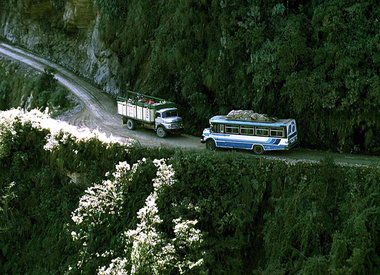 Nadel&ouml;hr: Begegnung der &uuml;blichen Art auf Transitstreck...