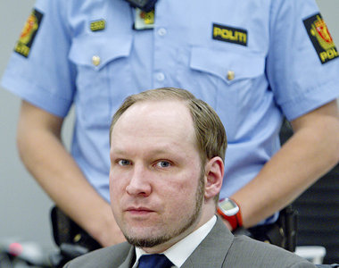 &raquo;Geisteskranker&laquo; oder &Uuml;berzeugungst&auml;ter? A...