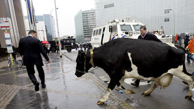 Leicht surreale Begegnungen während einer Demonstration von Milc