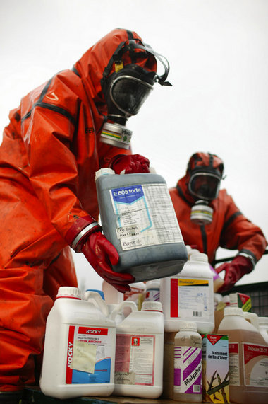 Greenpeace-Rechercheure erwarben 100 Kilo verbotene "Pflanzensch...