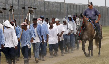 Billige Farmarbeiter: Gefangene auf ihrem Rückweg in den Knast i...