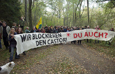 Protest gegen den letzten Castortransport nach Gorleben im Novem...