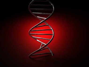 Licht ins Dunkel: Auch dieser DNA-Strang wartet auf seine neuest... Licht ins Dunkel: Auch dieser DNA-Strang wartet auf seine neuest...