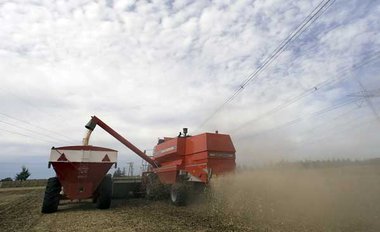 Viel Platz f&uuml;r Agrokonzerne: Gensojaernte auf einer Farm in...