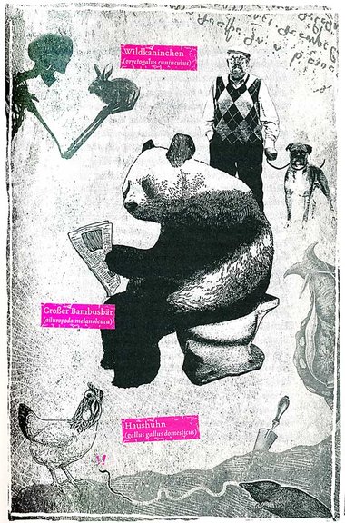 Immer schön zusammenhanglos: Kaninchenrezept, faule Pandas und R... Immer schön zusammenhanglos: Kaninchenrezept, faule Pandas und R...
