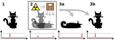 Schrödingers Katze, auf dem zweiten Bild tot und lebendig Schrödingers Katze, auf dem zweiten Bild tot und lebendig