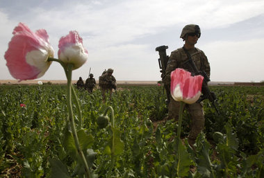 Opiumgewinn unter NATO-Schutz: US-Soldaten in einem Mohnfeld in ...