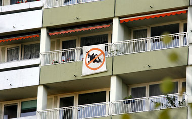 Vorbild Freiburg: Hier hat ein Bürgerentscheid am 12. November d...