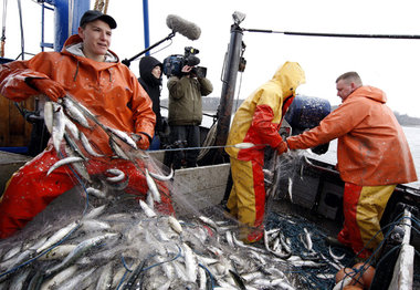 Fischereigenossenschaft: Im Kleinen funktioniert es