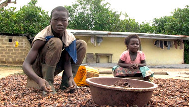 Die Story im Ersten: Kinder an der Côte d’Ivoire sortieren Kakao... Die Story im Ersten: Kinder an der Côte d’Ivoire sortieren Kakao...
